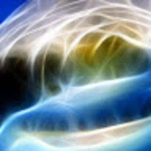 Meet your Posher, Bobby